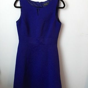 Blue Tahari a-line dress, size 8